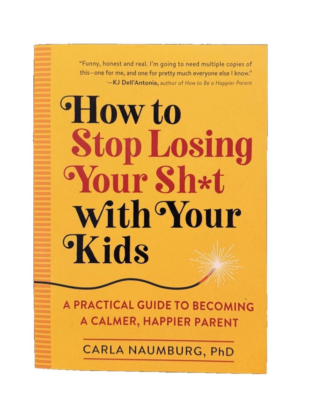NEW! How to Stop Losing Your Sh*t with Your Kids: A Practical Guide to Becoming